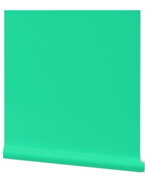 SeaMint Florida Colors of the Sunshine State Wallpaper