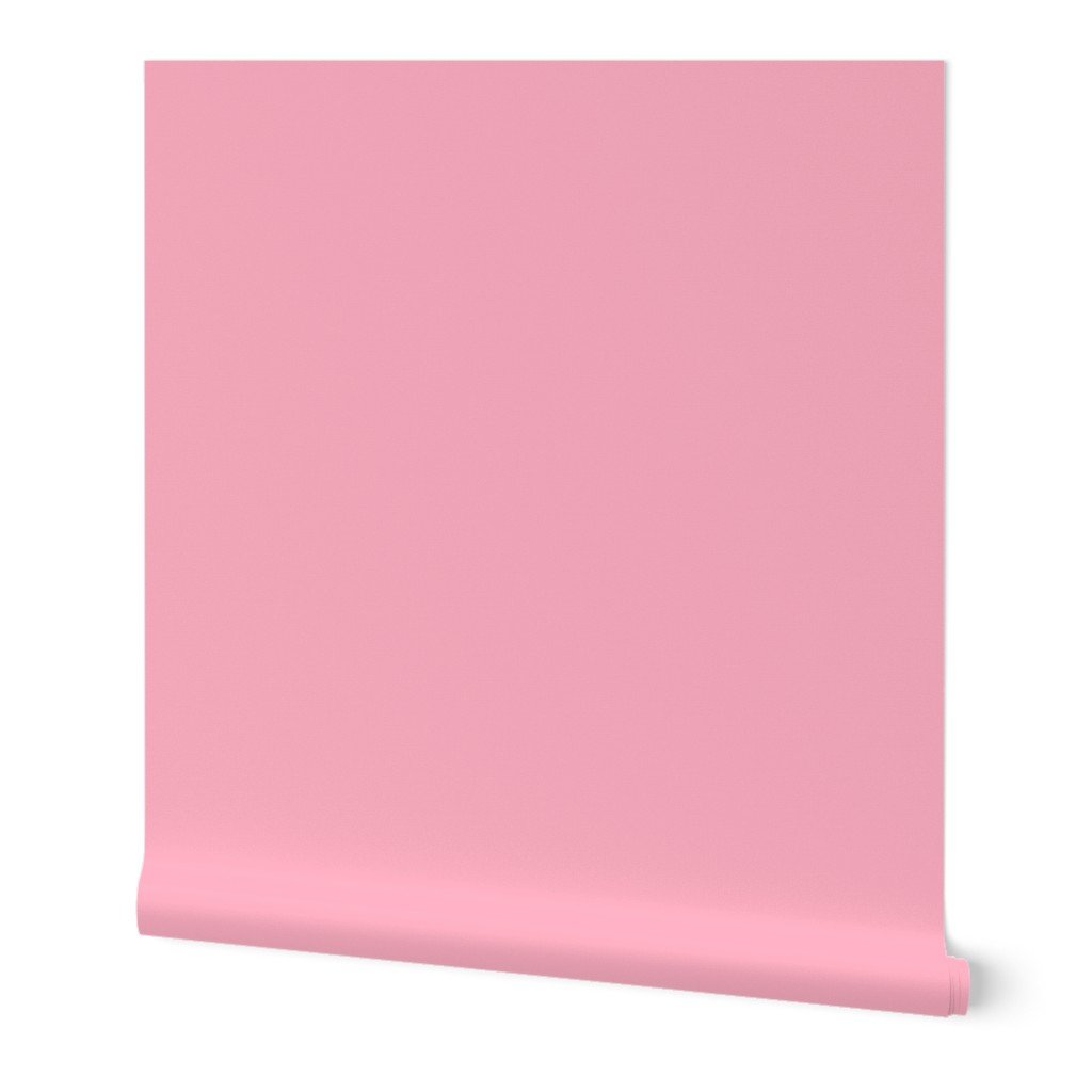Palm Beach Pink Florida Colors of the Sunshine State Wallpaper Palm Beach Pink Florida Colors of the Sunshine State Wallpaper
