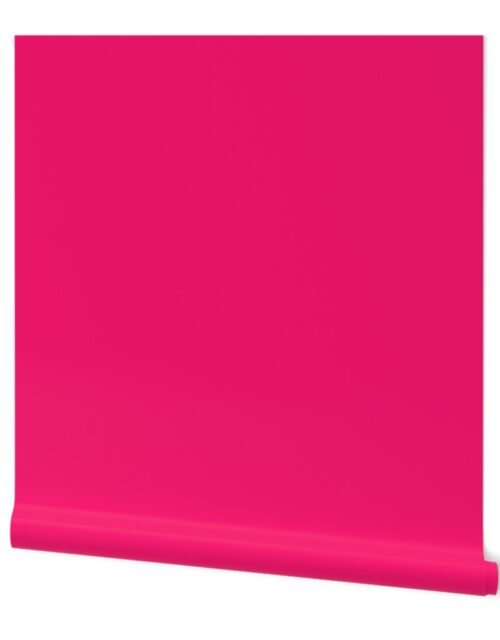 Florida Flamingo Pink Florida Colors of the Sunshine State Wallpaper