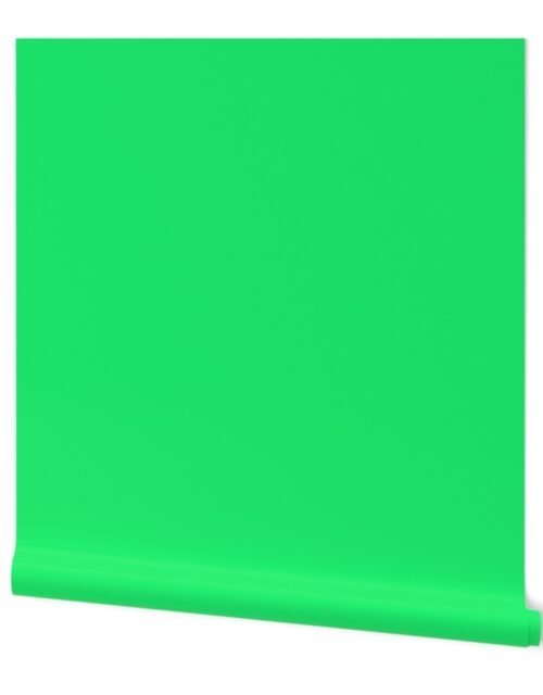 Lime Mojito Green Florida Colors of the Sunshine State Wallpaper