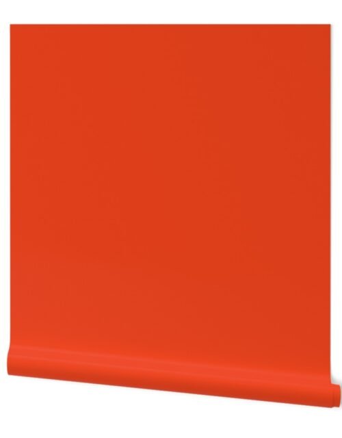 Citrus Orange Florida Colors of the Sunshine State Wallpaper