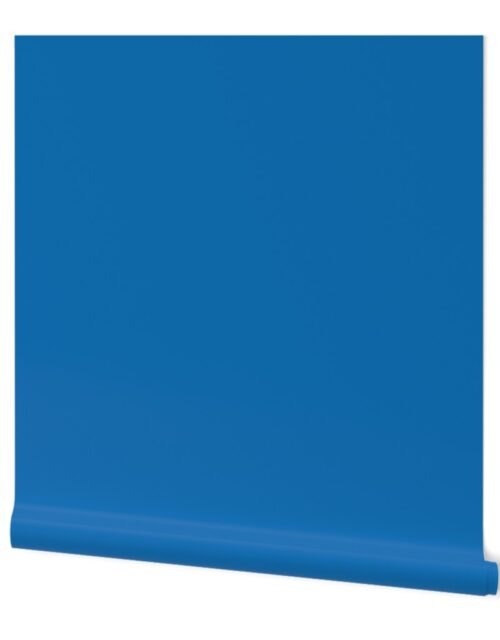 Biscayne Blue Florida Colors of the Sunshine State Wallpaper