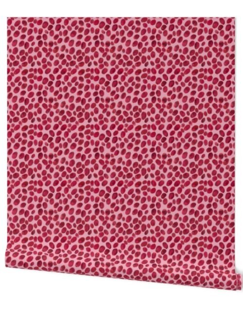 Cranberries on Pink Wallpaper