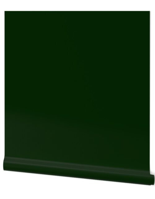 Christmas Spruce Tree Green Solid Color Coordinate Wallpaper