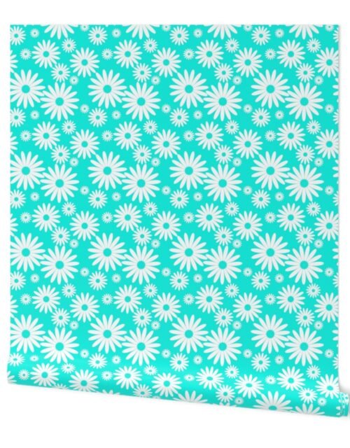 Jumbo Daisies in Aqua and White Wallpaper
