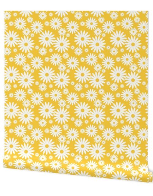 Jumbo Daisies in Goldenrod and White Wallpaper