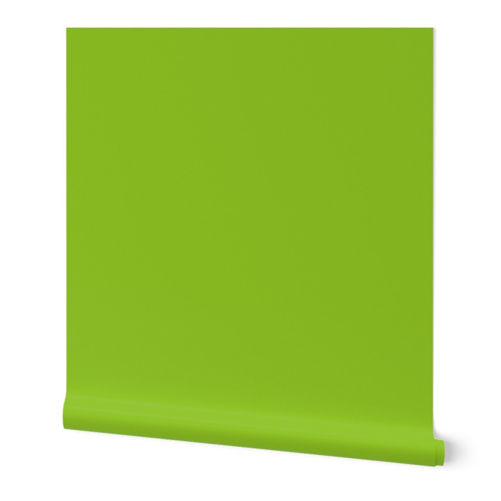 Christmas Norfolk Pine Tree Green Solid Color Wallpaper Christmas Norfolk Pine Tree Green Solid Color Wallpaper