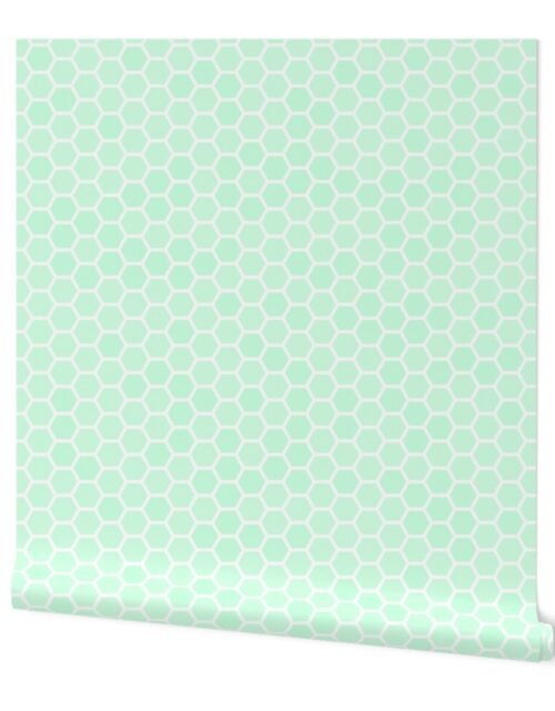 Large Mint Green Honeycomb Bee Hive Geometric Hexagonal Design Wallpaper