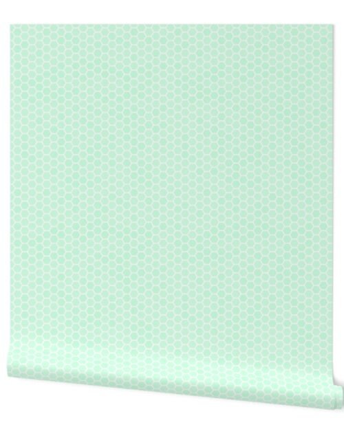 Small Mint Green Honeycomb Bee Hive Geometric Hexagonal Design Wallpaper