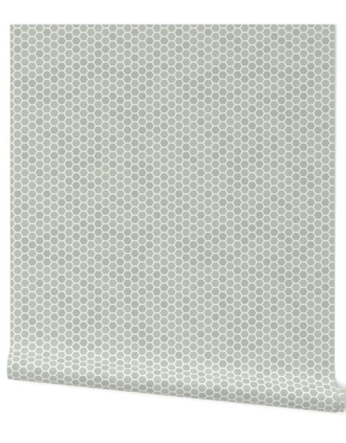 Small Desert Sage Grey Green Honeycomb Bee Hive Geometric Design Wallpaper