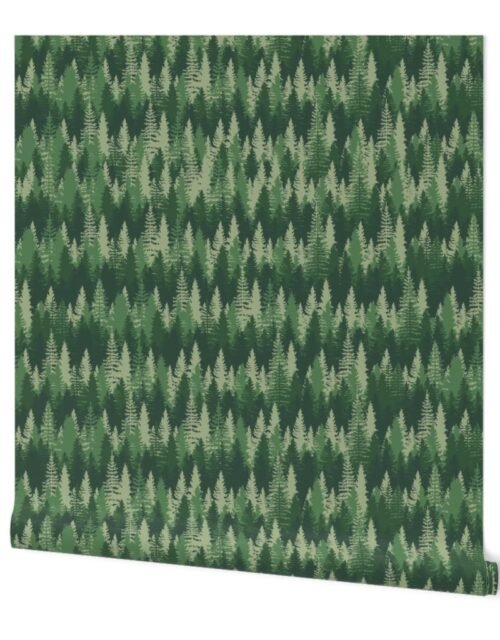 Endless Evergreen Forest with Fir Trees in Shades of Green Wallpaper
