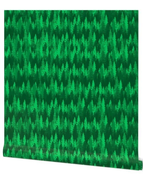 Large Endless Evergreen Forest with Fir Trees in Shades of Bright Green Wallpaper