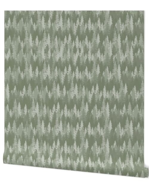 Large  Endless Evergreen Forest with Fir Trees in Shades of Sage Green Wallpaper
