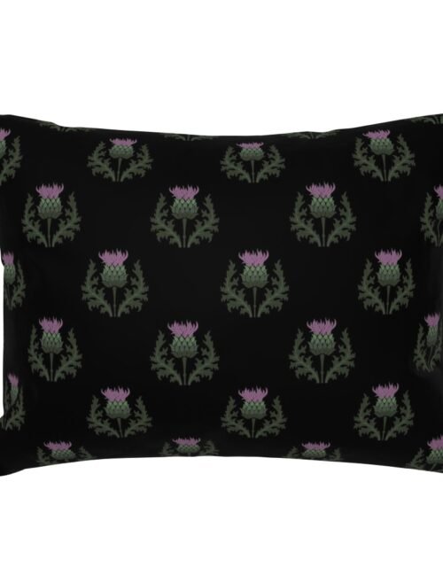 Small Scottish Thistle Flower of Scotland on Black Standard Pillow Sham