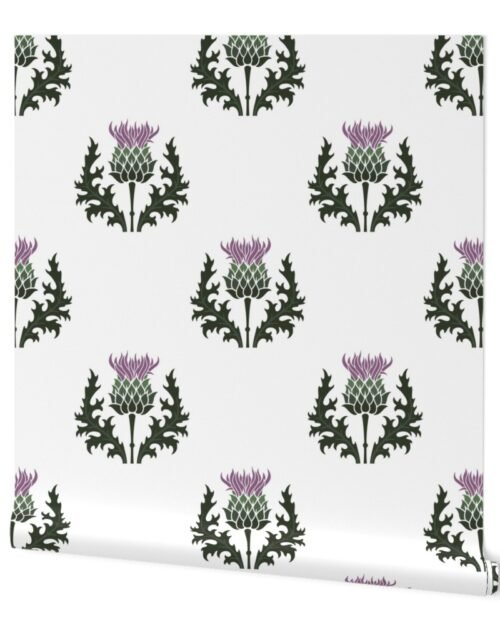 Large Scottish Thistle Flower of Scotland on White Wallpaper