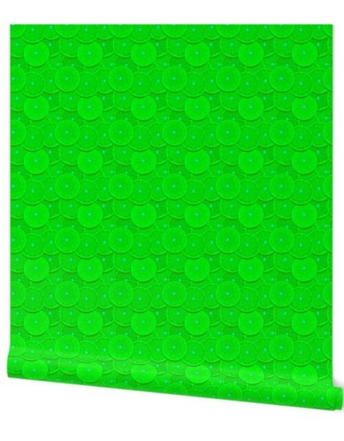 Limes Citrus 2 inch Fruit Slices in a Zesty Repeat Pattern Wallpaper