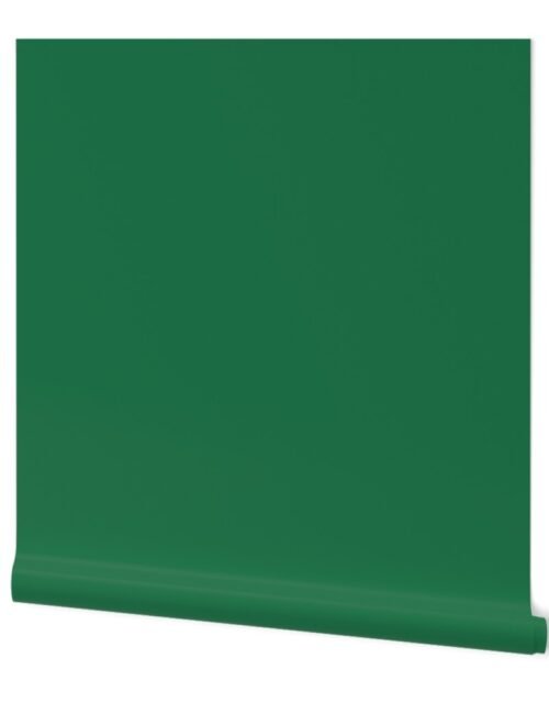 Amazon Autumn Winter 2022 2023 Color Trend Wallpaper