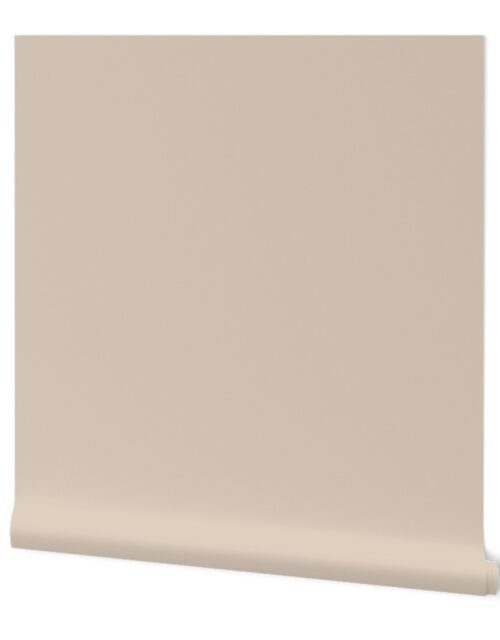 Tapioca Autumn Winter 2022 2023 Color Trend Wallpaper