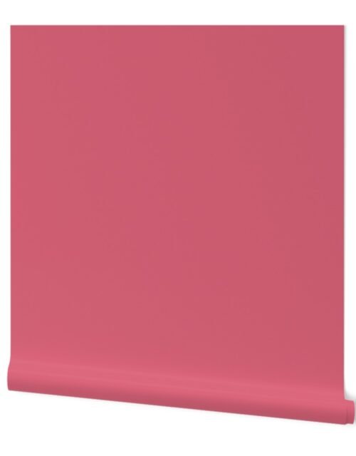 Nantucket Red Solid Color Accent Wallpaper