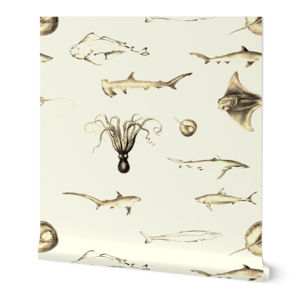 Sharks, Rays, Cephalopods and Squid in Vintage Sepia on Parchment Cream Wallpaper Sharks, Rays, Cephalopods and Squid in Vintage Sepia on Parchment Cream Wallpaper