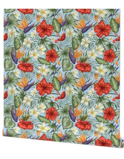 Sky Blue Hibiscus Tropical Rainforest Birds of Paradise and Plumeria Wallpaper
