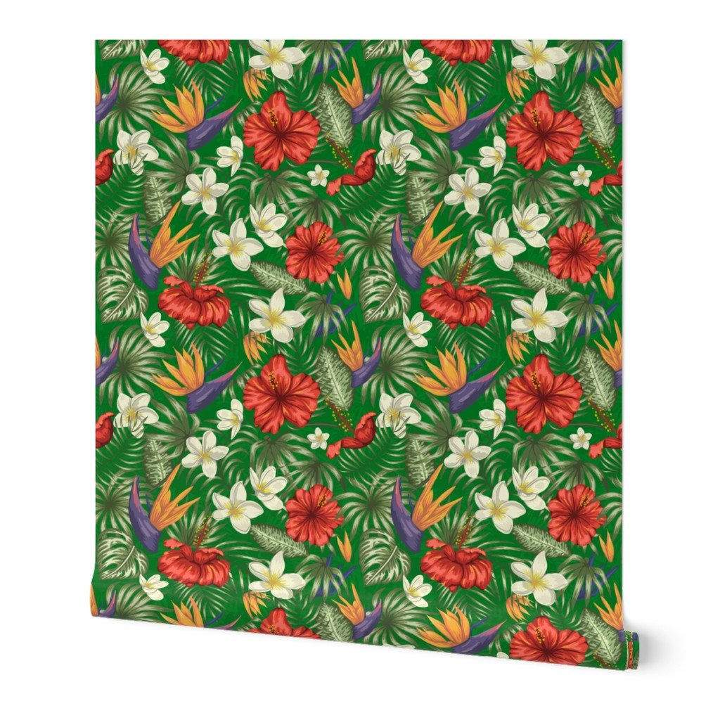 Dark Monstera Green Hawaiian Hibiscus Tropical Rainforest Birds Wallpaper Dark Monstera Green Hawaiian Hibiscus Tropical Rainforest Birds Wallpaper