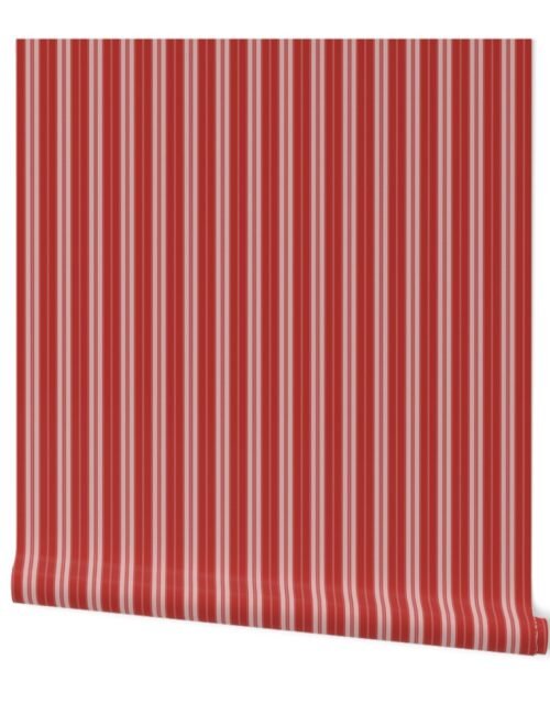 Molten Lava Red on Red Autumn Winter 2022 2023 Color Trend Mattress Ticking Wallpaper