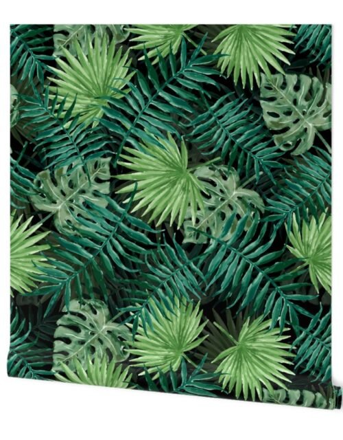 Large Dark Green Fern Palm and Monstera Tropical Plants Wallpaper