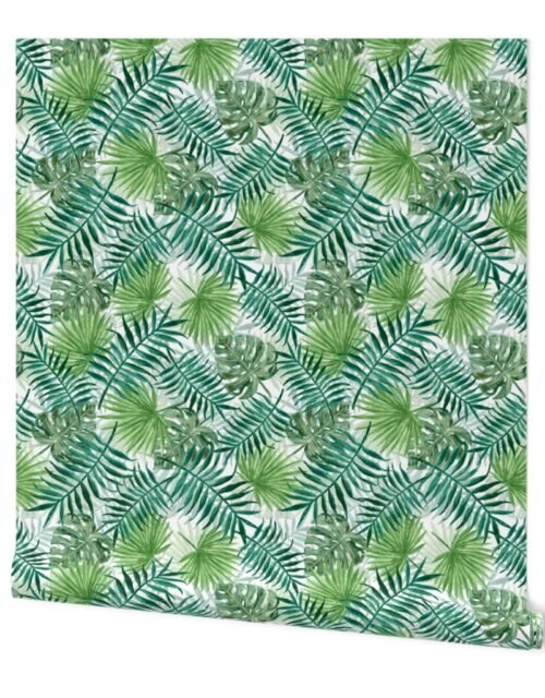 Green Fern Palm and Monstera Tropical Plants Wallpaper