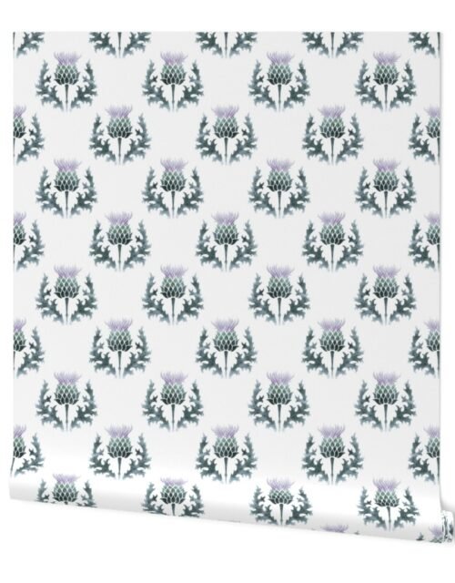 Large Watercolor Scottish Thistle Flower of Scotland Wallpaper