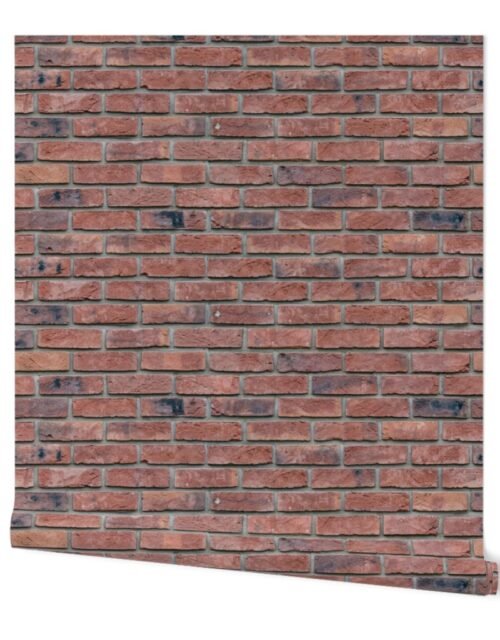 Classic Brick Red Wall in Realistic Photo-Effect Life Size Wallpaper