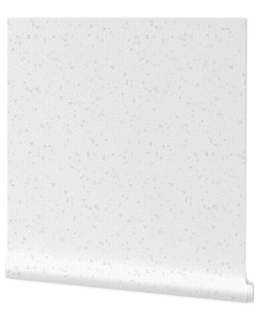 Small Craquelure Eggshell Pattern in Off-White with Cream Eggshell Accents Wallpaper