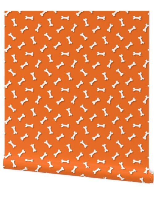 Cute White 3D  Cartoon Dog Bones On Carrot Background Wallpaper