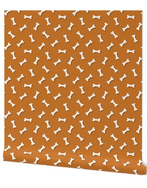 Cute White 3D  Cartoon Dog Bones On Desert Sun Background Wallpaper