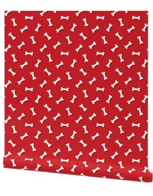 Cute White 3D  Cartoon Dog Bones On Poppy Red Background Wallpaper