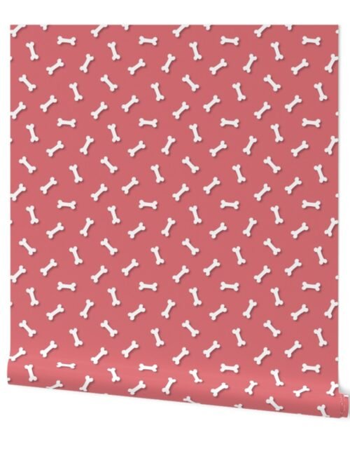 Cute White 3D  Cartoon Dog Bones On Watermelon Background Wallpaper