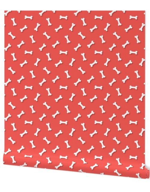 Cute White 3D  Cartoon Dog Bones On Coral Background Wallpaper