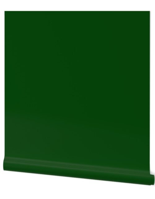 SOLID FOREST GREEN  #06470c HTML HEX Colors Wallpaper
