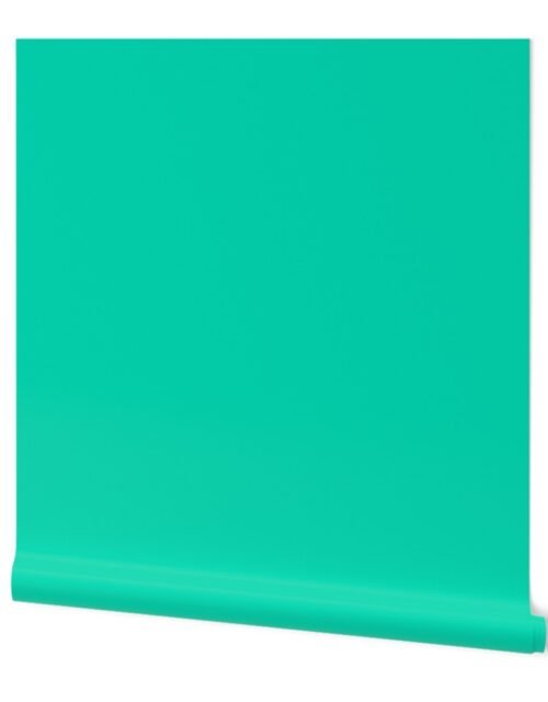 SOLID AQUAMARINE  #04d8b2 HTML HEX Colors Wallpaper