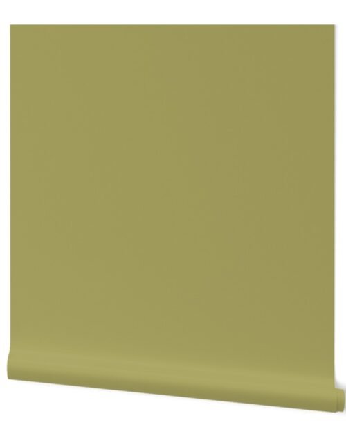 SOLID KHAKI  #aaa662 HTML HEX Colors Wallpaper