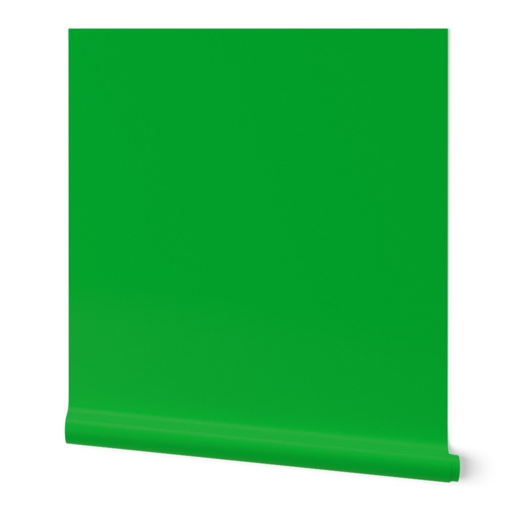 SOLID KELLY GREEN #02ab2e HTML HEX Colors Wallpaper SOLID KELLY GREEN #02ab2e HTML HEX Colors Wallpaper