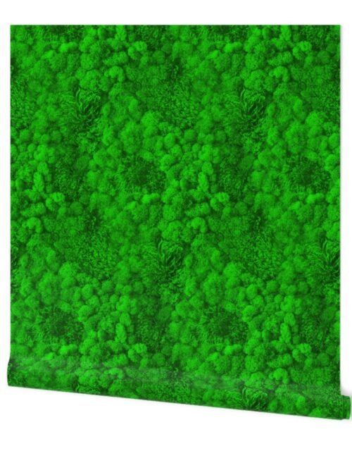 Neon Moss Wall Wallpaper