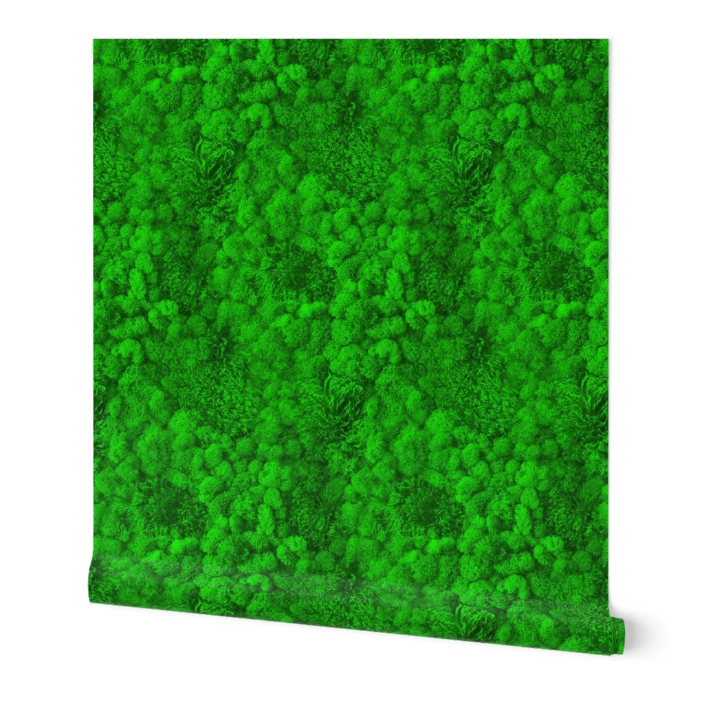 Neon Moss Wall Wallpaper Neon Moss Wall Wallpaper