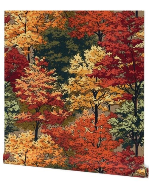 New England Endless Forest Fall Trees Wallpaper