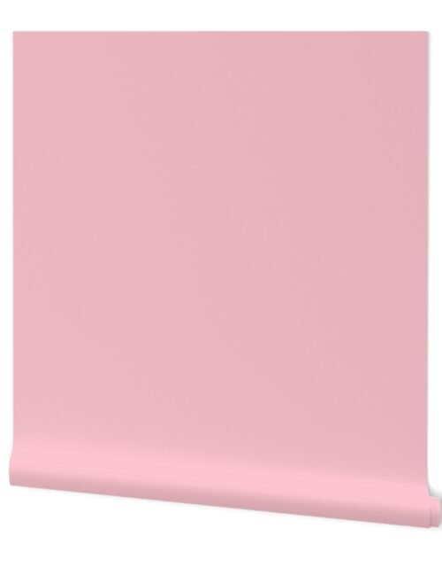 Merry Bright Coordinate Pink Solid Wallpaper