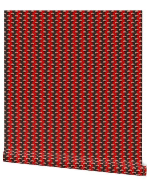 Mini Footballs Tampa's Famed Football Team Colors of Red and Pewter Wallpaper