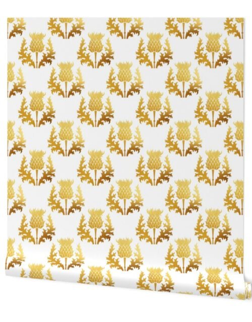 Large Scottish Thistle Flower of Scotland Gold on White Wallpaper