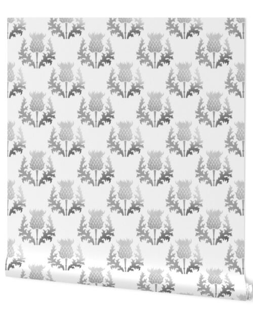 Large Scottish Thistle Flower of Scotland Silver on White Wallpaper