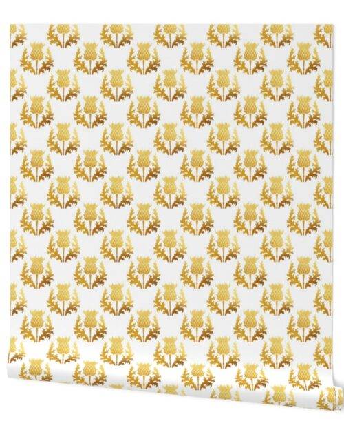 Small Scottish Thistle Flower of Scotland Gold on White Wallpaper