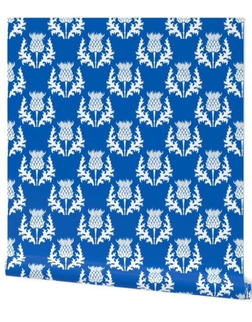 Large White Thistle Flower of Scotland on Scottish Flag Blue Wallpaper